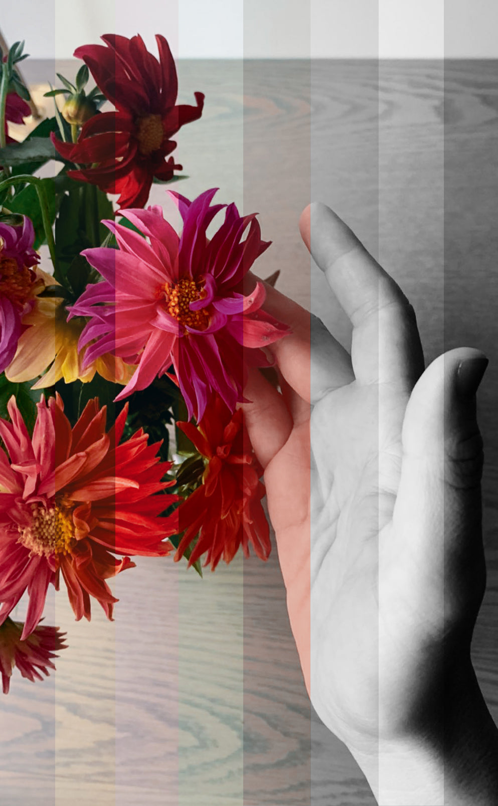 Color Grading